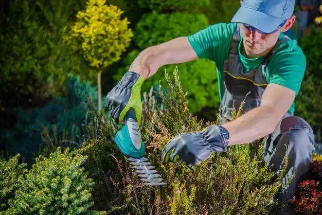 landscaping services Parkdale